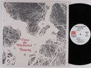 STRAWBS From the Witchwood A&M LP NM wlp gatefold