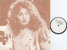 Led Zeppelin - Untitled - Rock LP - TMOQ