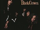 Shake Your Money Maker by The Black Crowes.