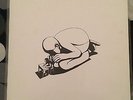 the Whitest Boy Alive - 1517 Vinyl