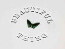 The Stone Roses Beautiful Thing (LIMITED) 12'' VINYL SINGLE NEW (22ND JULY)