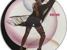 Vinyl Picture Disc: Rocky Horror Serial Number 1949 RARE