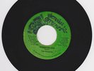 THE VICEROYS - SHADDAI CHILDREN - VICTORIUS STEPPERS ( ROOTS REGGAE 7 )