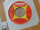 THE RITES OF SPRING 45 Comin' On Back To Me GARAGE Fuzz PARKWAY 1966