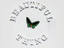 The Stone Roses - Beautiful Thing 12
