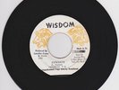 GENERAL T.K - EXPENSIVE - WISDOM ( RARE DIGI 7 )  HIT & RUN DRIVER SAME RIDDIM