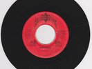 LEROY ROOTS - SHOCKING - BLACK STAR ( VERY RARE KILLER DIGI ROOTS 7 )