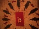  biffy clyro lonely revolutions lp vinyl only 300 made