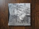 Radiohead in Rainbows Disc box (2 LP's and 2 Cd's + more)