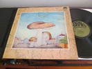SAMETI  SAME LP 1972 IN NM KRAUTROCK  GREEN BRAIN LABEL + PRESS SHEET