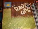 The Rave Ups LP Town + Country SEALED