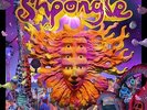 SHPONGLE [VINYL LP] MUSEUMS OF CONSCIOUSNESS (VINYL)-VINYL LP (2) TWISTED NEU