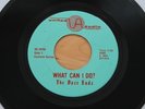 THE DAZE ENDZ What Can I Do?/Knock On Wood 45 Ohio Garage Soul HEAR