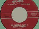 MARGIE DAY I'm Gonna Raise a Rukus Tonight / Must I 45rpm Dot 1954 R&B bopper