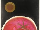 Womb - S/T LP - Dot - Psych VG+