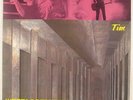 Replacements - Tim LP - Sire VG++