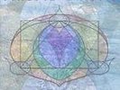 Collective Journeys, Tribal Drift, Good Condition
