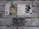 THE STONE ROSES - Self Titled / Cassette Album Tape / UK Issue / 1745