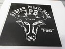 Jigsaw Puzzle Band - First Vinyl