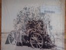 Bardo Pond - Lapsed - RARE OOP 1997 Matador LP - 90s shoegaze post rock vinyl