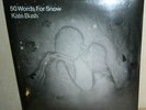 Kate Bush: 50 Words For Snow.   2LP Still Sealed
