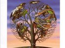 Laughing Stock [LP] by Talk Talk.