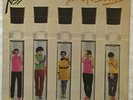 C37 X - Ray Spex 