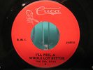 THE DEL RAYS - Wisconsin Garage 45 - Cuca - 1965 Byrds Cover- Hear 