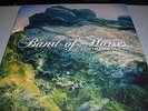 Band Of Horses - Mirage Rock - LP Vinyl & MP3 // New & Sealed & Gatefold