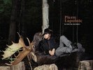 PIERRE LAPOINTE**LA FORET DES MAL-AIMES (GATEFOLD/FRENCH)**2 VINYL SET