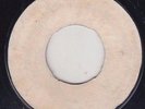 '73 COUNT SHELLY REGGAE 45 RICO RODRIGUEZ JUNGLE FEVER/L. AITKEN RIVER JORDAN ?