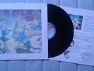 Belly Star  LP Original UK 4AD Breeders Throwing Muses