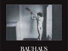 In the Flat Field [Remastered] by Bauhaus.