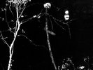 Under a Funeral Moon by Darkthrone.