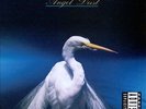 Angel Dust [Deluxe Edition] by Faith No More.