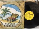 SPECIAL TREASURE I have a friend LP XIAN FOLK ROCK PRIVATE