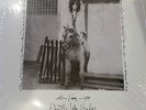 Patti Smith Horses Live Electric Lady Studios Vinyl