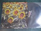 THE SUNNYBOYS INDIVIDUALS VINYL RECORD LP 12