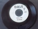 RARE 45 rpm THE ARGOES Black & Blue/Chicken Back 1960's R&B Dale 262 hear it
