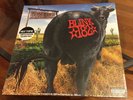 SEALED Blink 182 Dude Ranch Gatefold LP Splatter Vinyl Hot Topic Exclusive /2700
