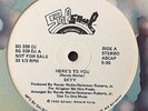 SKYY - Here's To You 12