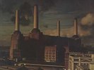 Pink Floyd - Animals