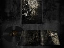 Blut aus Nord - Mort - LP with 12