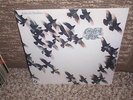 CRACK THE SKY / SAFETY IN NUMBERS / ORIG PRESS SEALED / BEST LP OF THEIRS IMO