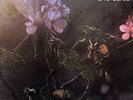 Luis Alberto Spinetta - 18 Del Sol [New Vinyl LP] Argentina - Import