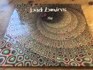 LP * Bad Brains Rise * Epic 474265 1 * Dutch Vinyl Record * 1993 * OIS