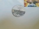 Prince planet earth vinyl