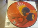 *** David Bowie The Man Who Sold The World RSD 2016 Picture Disc ***