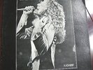 Led Zeppelin: Kashmir  (LP)