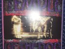 Temple Of The Dog, Temple Of The Dog Vinyl LP, Europe Import, Green Vinyl 1991